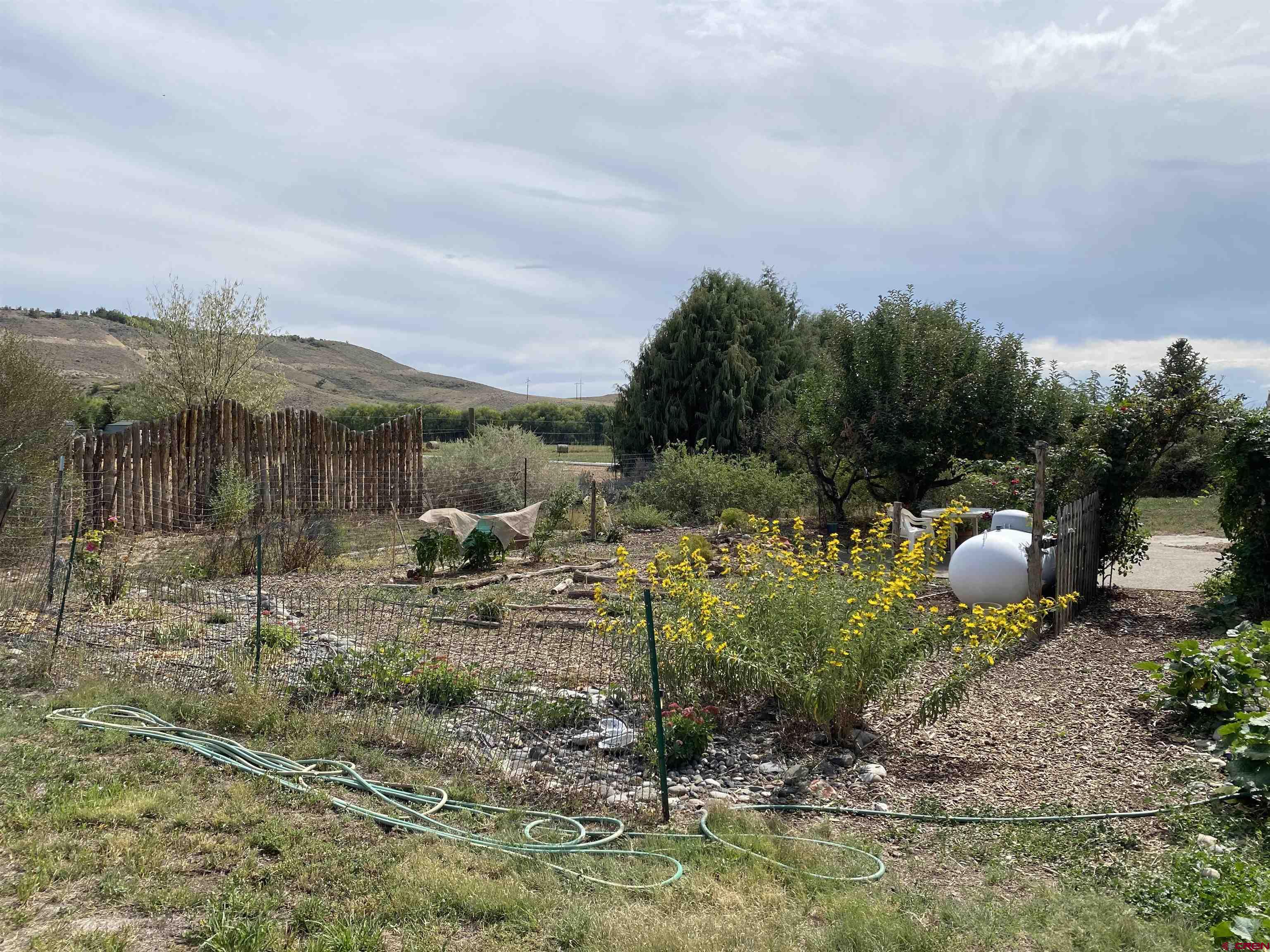 21236 Lanning Road Austin, CO 81410 - Photo 21 of 21 a view of a outdoor space with garden