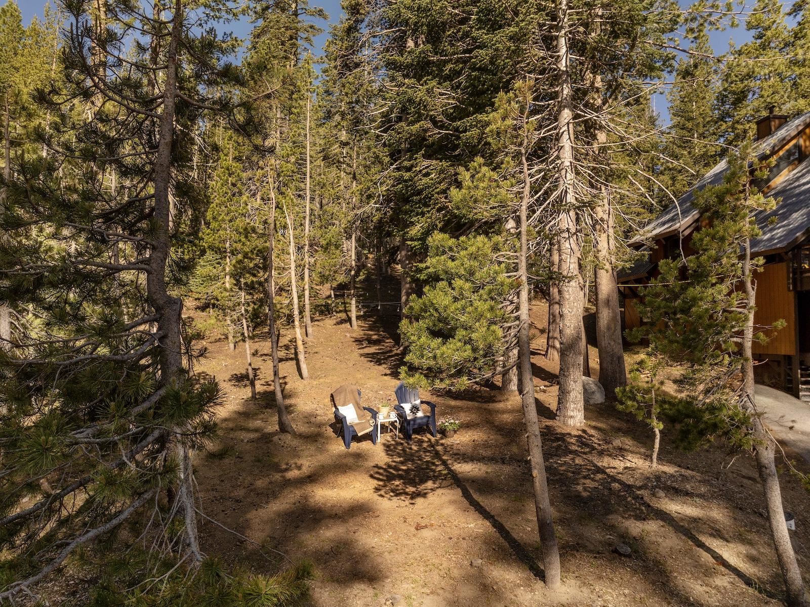 1023 Serene Road Soda Springs, CA 95728 - Photo 17 of 25