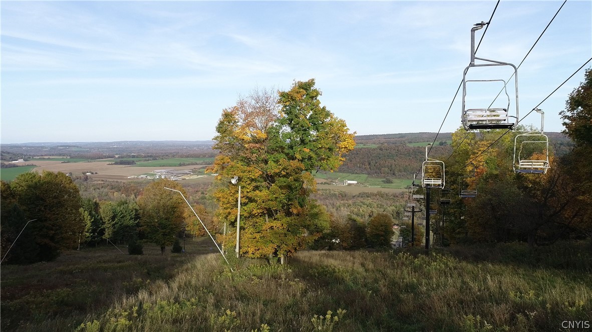 1135 Toggenburg Road Fabius, NY 13063 - Photo 14 of 25