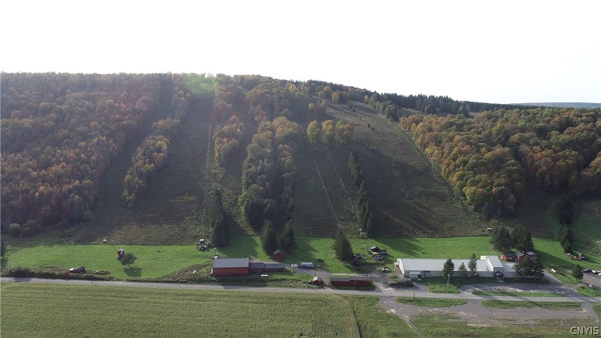 1135 Toggenburg Road Fabius, NY 13063 - Photo 17 of 25