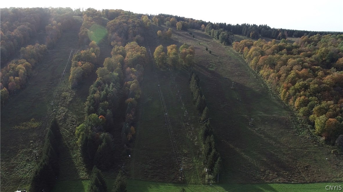 1135 Toggenburg Road Fabius, NY 13063 - Photo 22 of 25