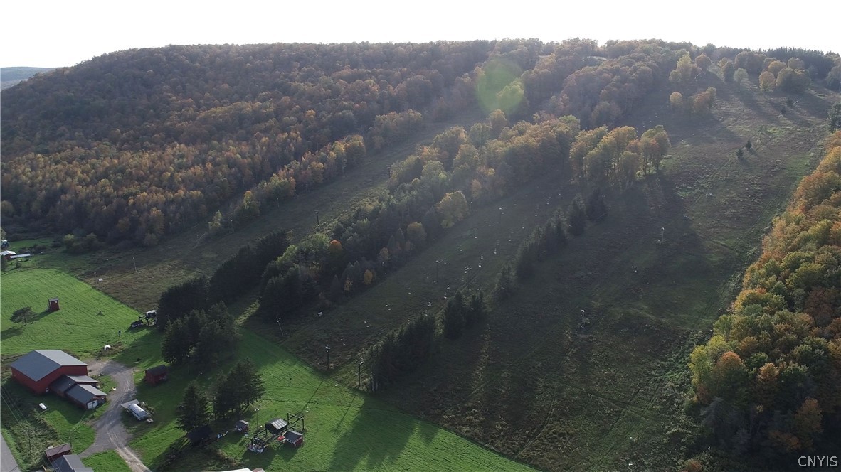 1135 Toggenburg Road Fabius, NY 13063 - Photo 23 of 25