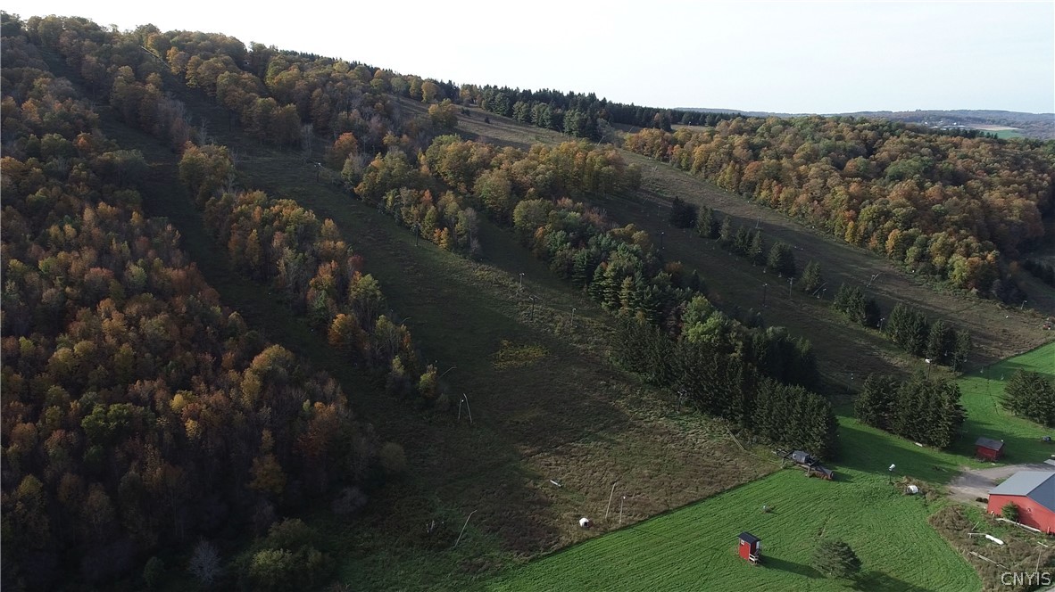 1135 Toggenburg Road Fabius, NY 13063 - Photo 3 of 25