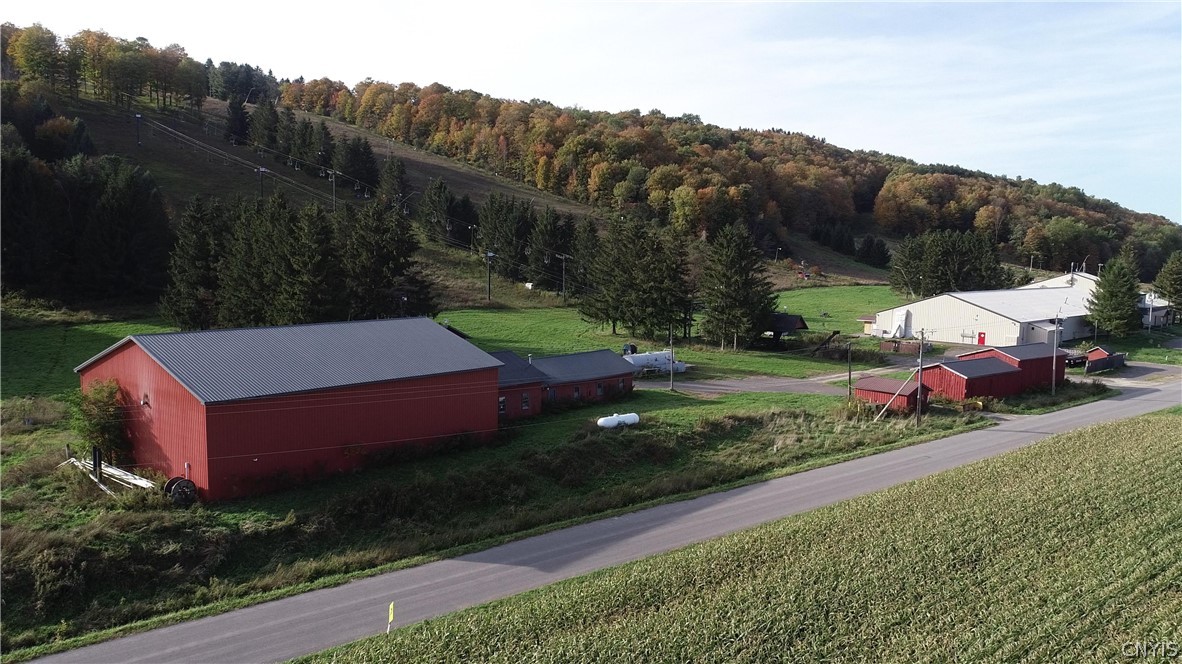 1135 Toggenburg Road Fabius, NY 13063 - Photo 9 of 25