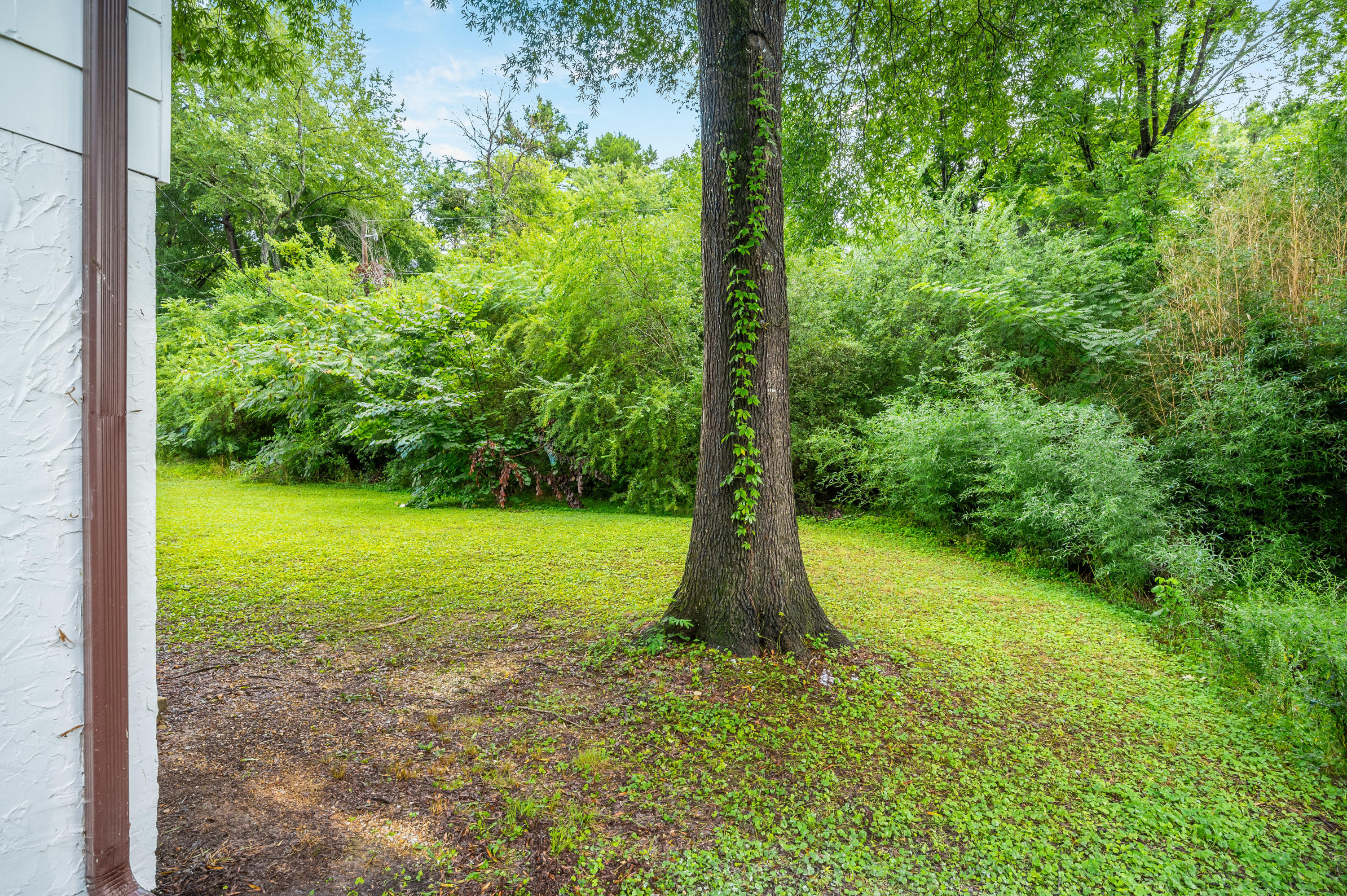 1613 North Chester Road Hixson, TN 37343 - Photo 19 of 20 1613-n-chester-rd-06