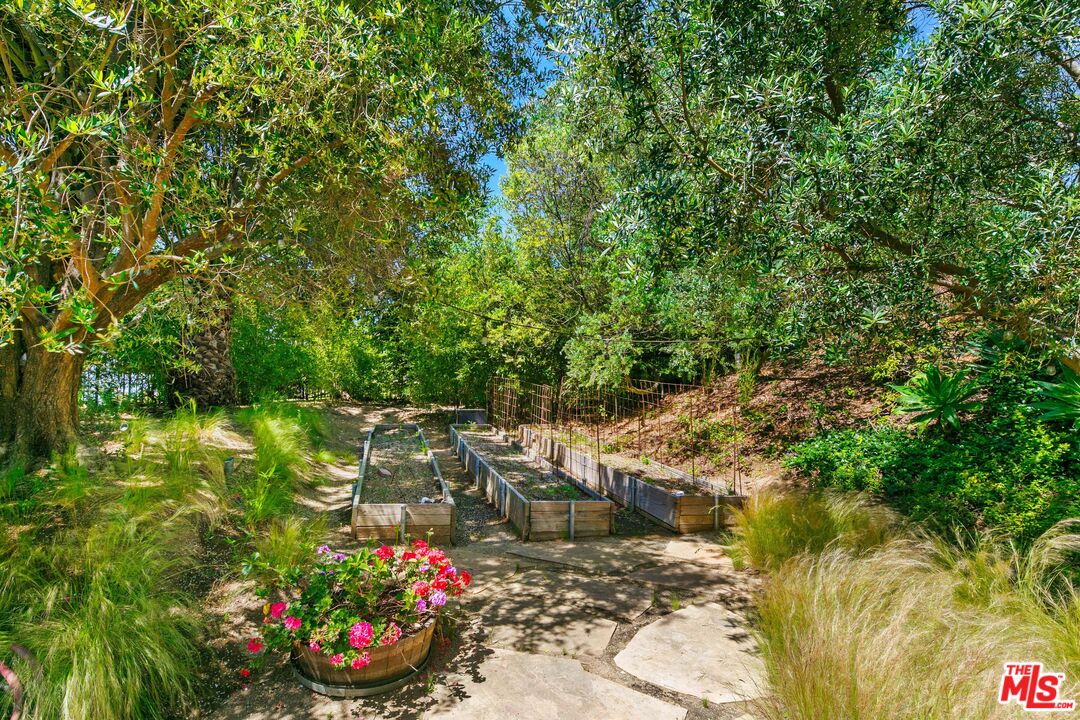 27450 Calicut Road Malibu, CA 90265 - Photo 58 of 59 a view of a garden with plants and large trees
