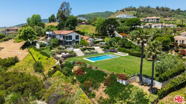 a view of a garden with plants