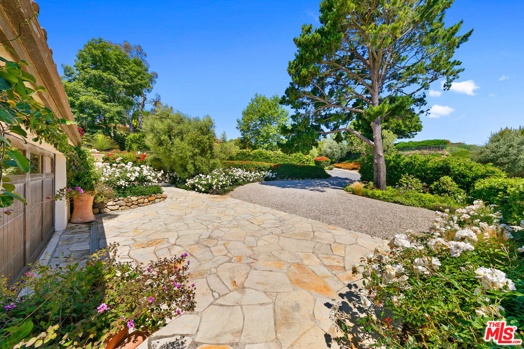27450 Calicut Road Malibu, CA 90265 - Photo 9 of 59 a view of a garden with plants
