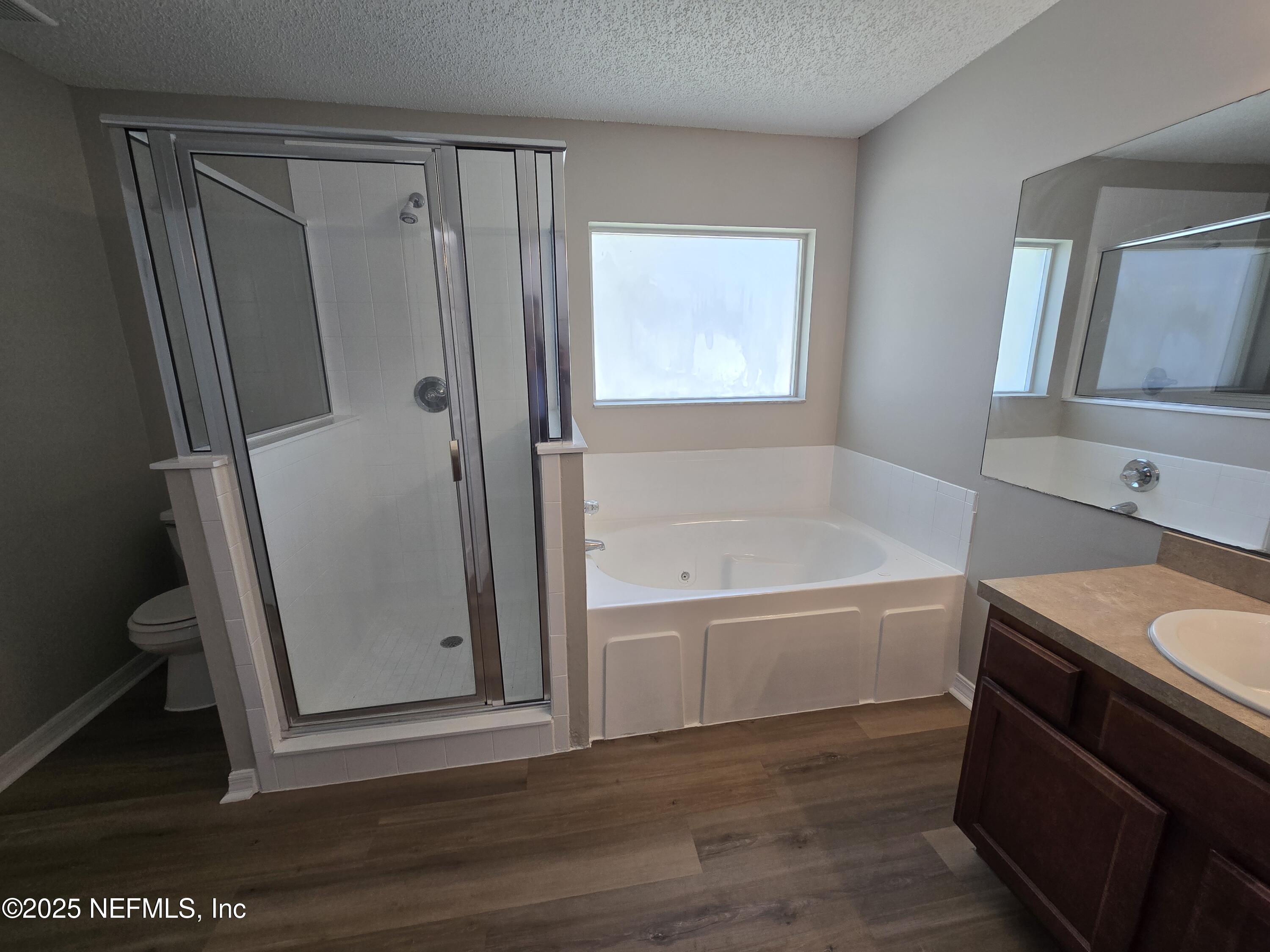 744 Palm Hammock Circle St. Augustine, FL 32095 - Photo 9 of 34 a bathroom with a tub a sink and a large mirror