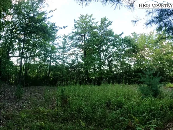 a view of a grassy field