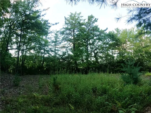 a view of a grassy field