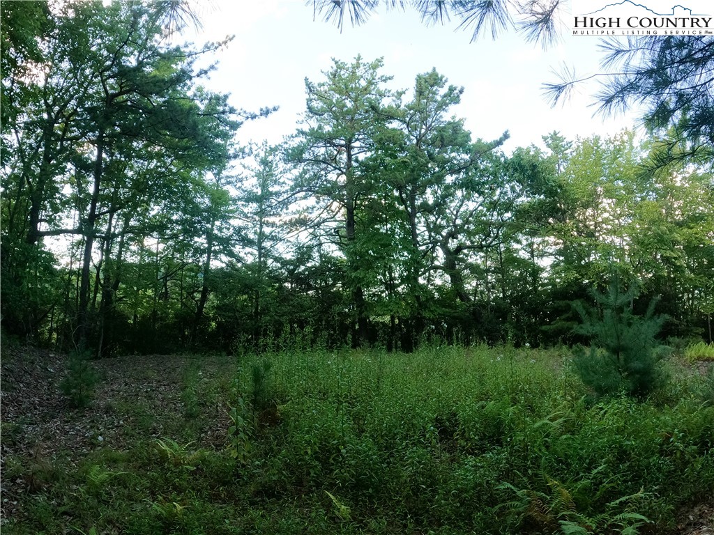 Lot 60 Sunrise Valley Drive Boone, NC 28607 - Photo 12 of 22 a view of a grassy field