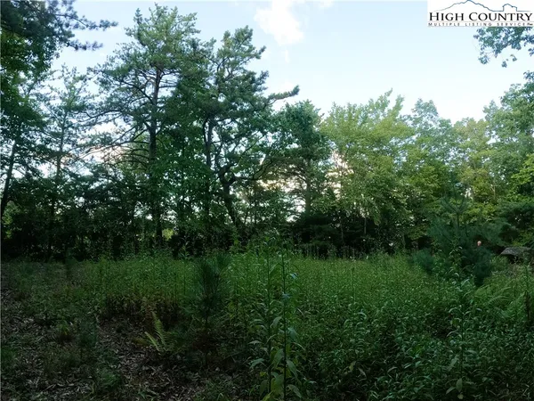 a view of a lush green space