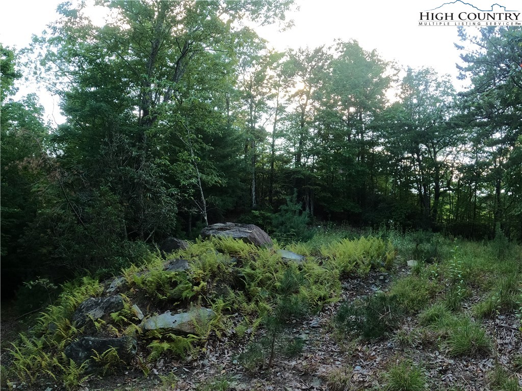 Lot 60 Sunrise Valley Drive Boone, NC 28607 - Photo 14 of 22 a view of backyard with green space
