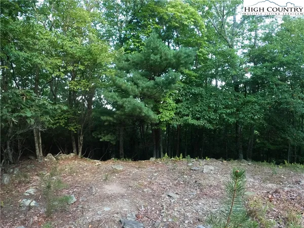 a view of house with trees in the background