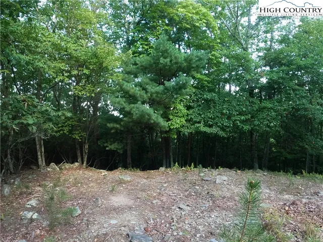 a view of house with trees in the background