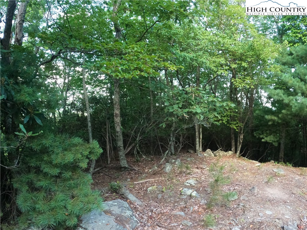 Lot 60 Sunrise Valley Drive Boone, NC 28607 - Photo 16 of 22 a view of backyard with green space