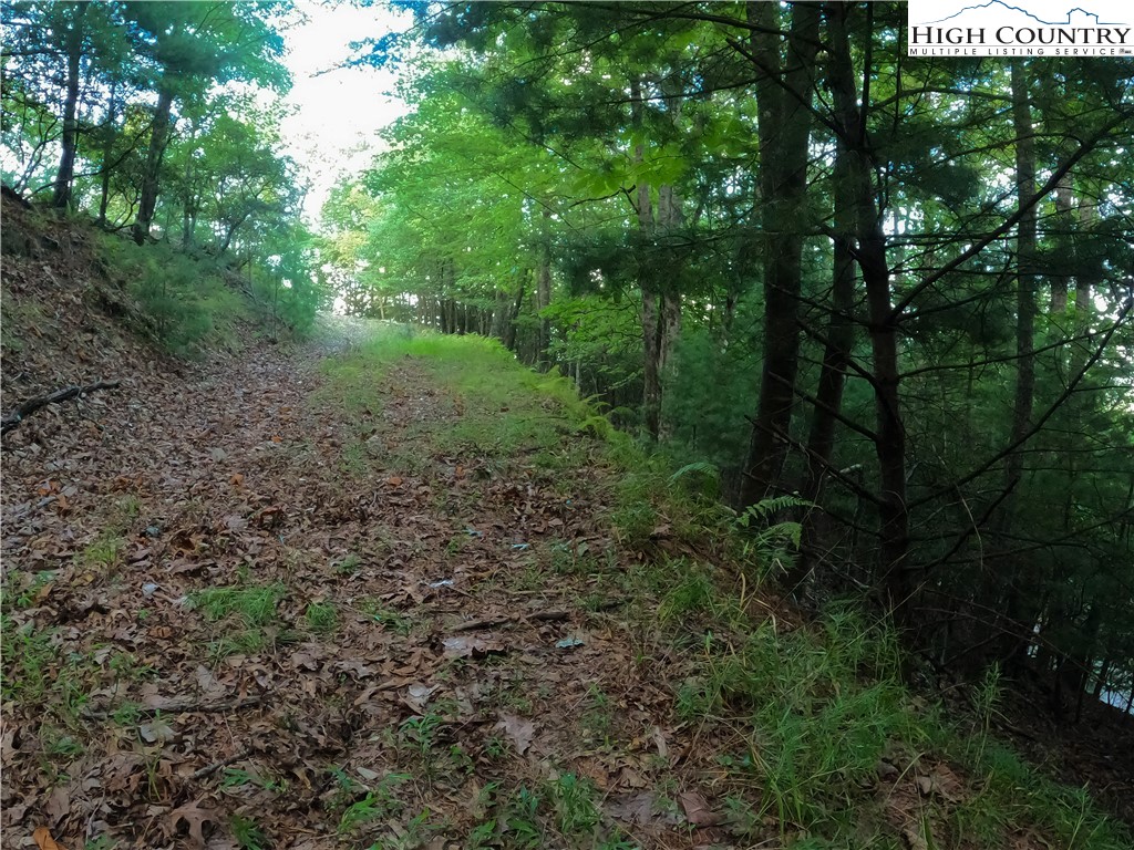 Lot 60 Sunrise Valley Drive Boone, NC 28607 - Photo 18 of 22 a view of a large yard with lots of green space