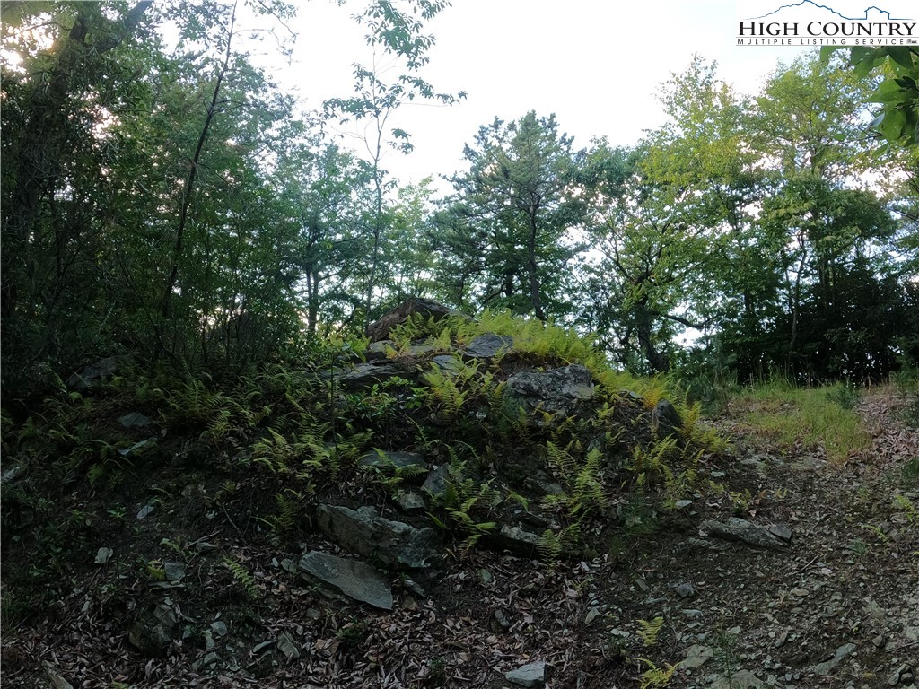 Lot 60 Sunrise Valley Drive Boone, NC 28607 - Photo 5 of 22 a view of a lush green forest with lots of trees