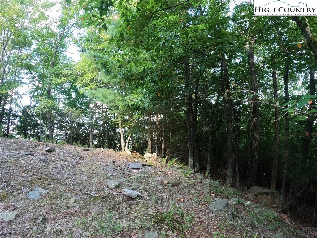 Lot 60 Sunrise Valley Drive Boone, NC 28607 - Photo 6 of 22 a view of outdoor space and yard