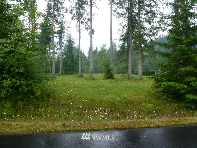 0 Lot 34 Pressentin Ranch Concrete, WA 98237 - Photo 1 of 1 Gallery Image 1