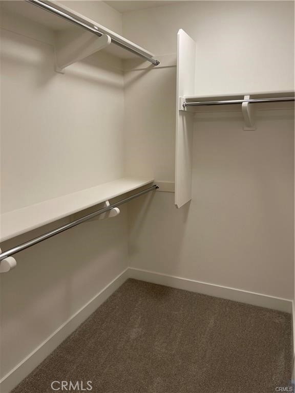 1632 Doheny Way Dana Point, CA 92629 - Photo 21 of 47 a close view of closet