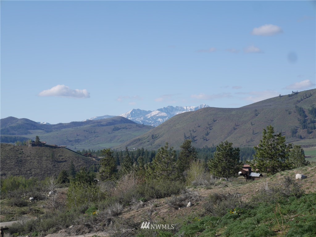 13 Ridge Drive Winthrop, WA 98862 - Photo 2 of 21 Gallery Image 2