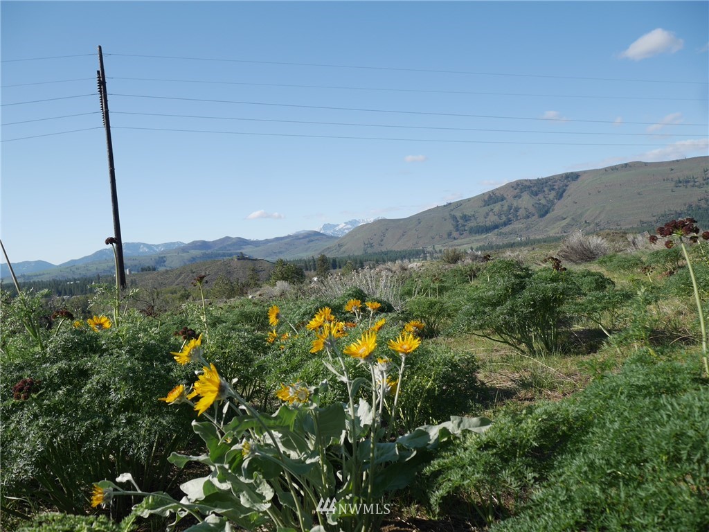 13 Ridge Drive Winthrop, WA 98862 - Photo 13 of 21 Gallery Image 13
