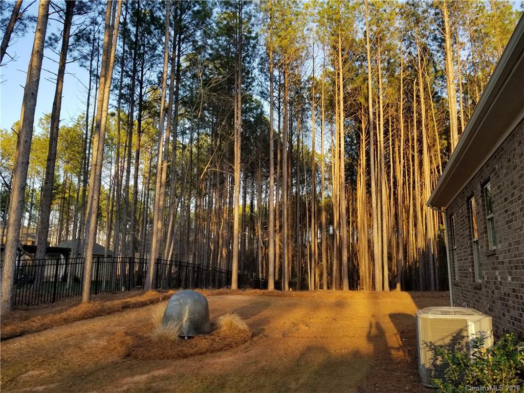 1094 Trinity Ridge Parkway, Unit 51 Fort Mill, SC 29715 - Photo 15 of 17 a view of outdoor space and yard