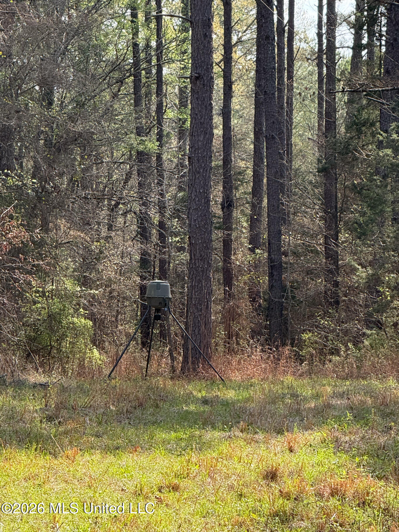 2893 Truesdale Road Carthage, MS 39051 - Photo 20 of 23 Leake 33-37