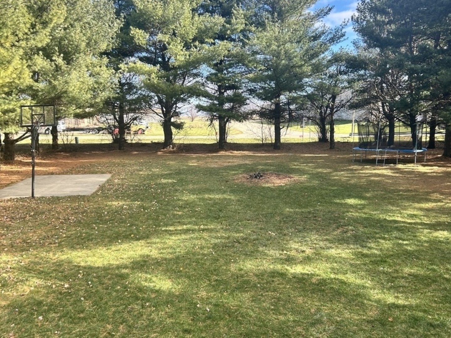 106 Windward Lane Rochelle, IL 61068 - Photo 40 of 42 a view of yard with trees
