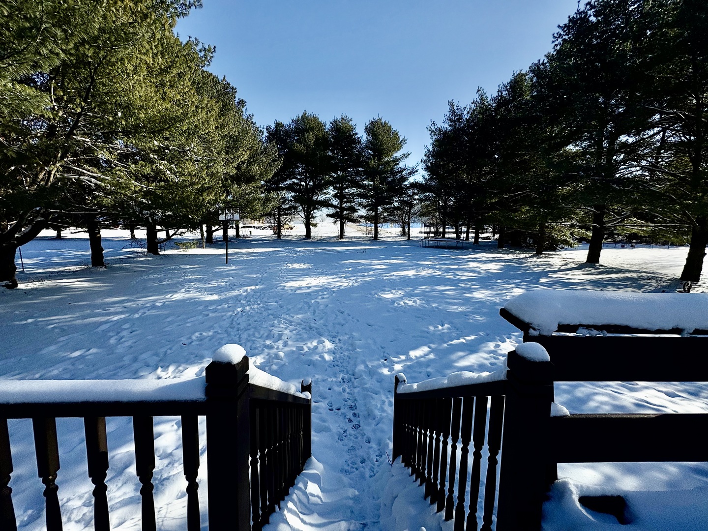 106 Windward Lane Rochelle, IL 61068 - Photo 41 of 42 a view of a yard with plants and trees