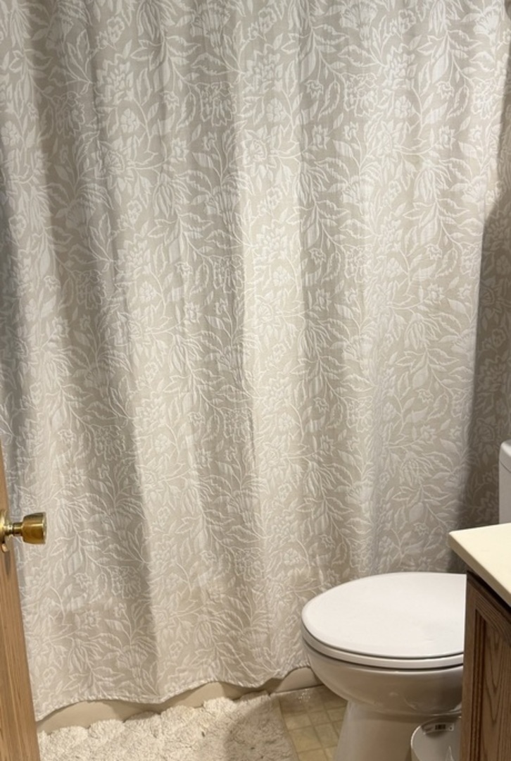 106 Windward Lane Rochelle, IL 61068 - Photo 10 of 42 a white toilet sitting next to a white shower curtain