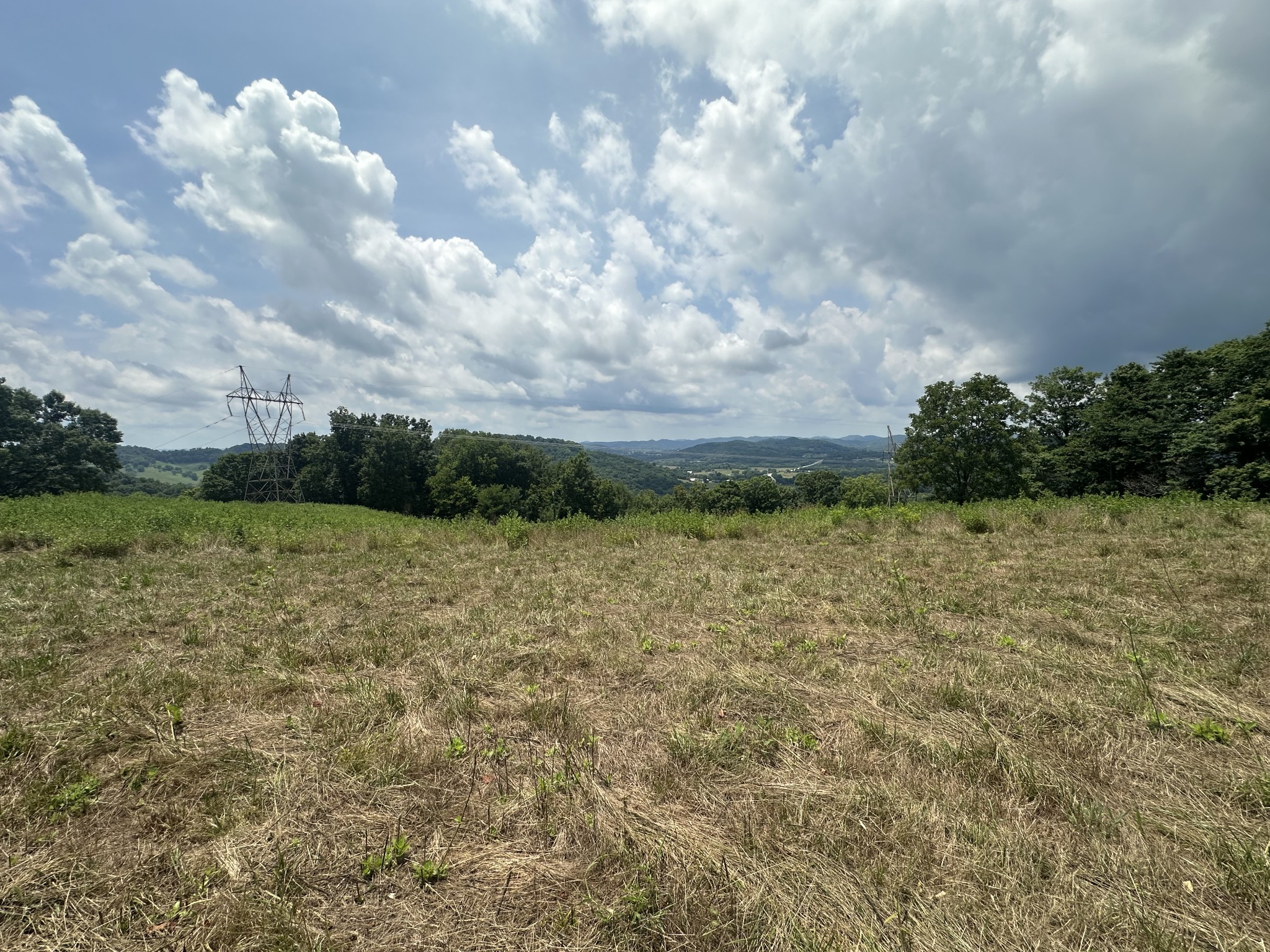 89 Conditt Hollow Road Elmwood, TN 38560 - Photo 2 of 13