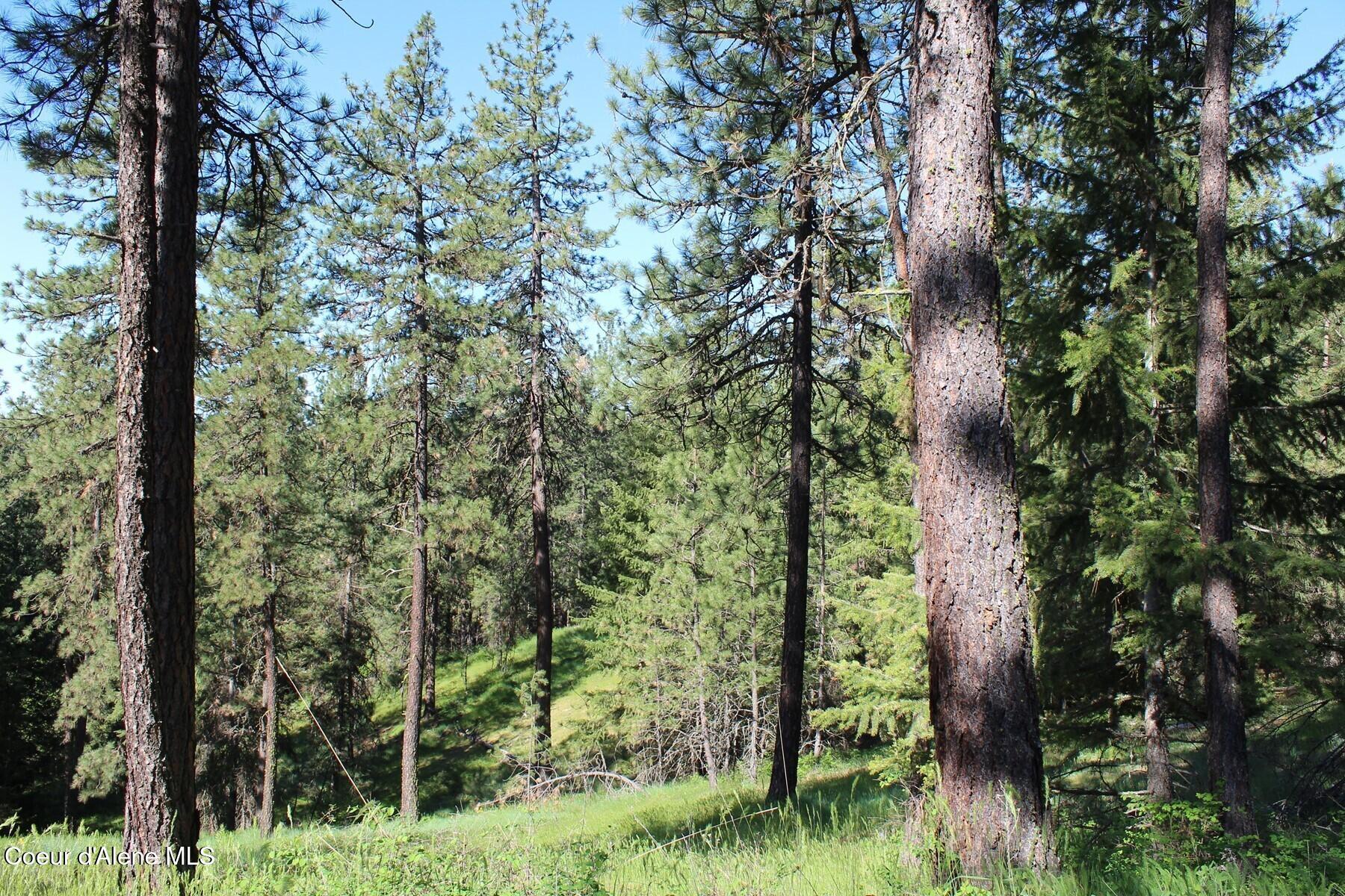 881 South Allen Road Coeur D'Alene, ID 83814 - Photo 22 of 26 Allen Rolling Forest