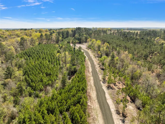 a view of a city with lush green forest