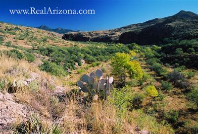 977 Morning Star Drive Rio Rico, AZ 85648 - Photo 1 of 8