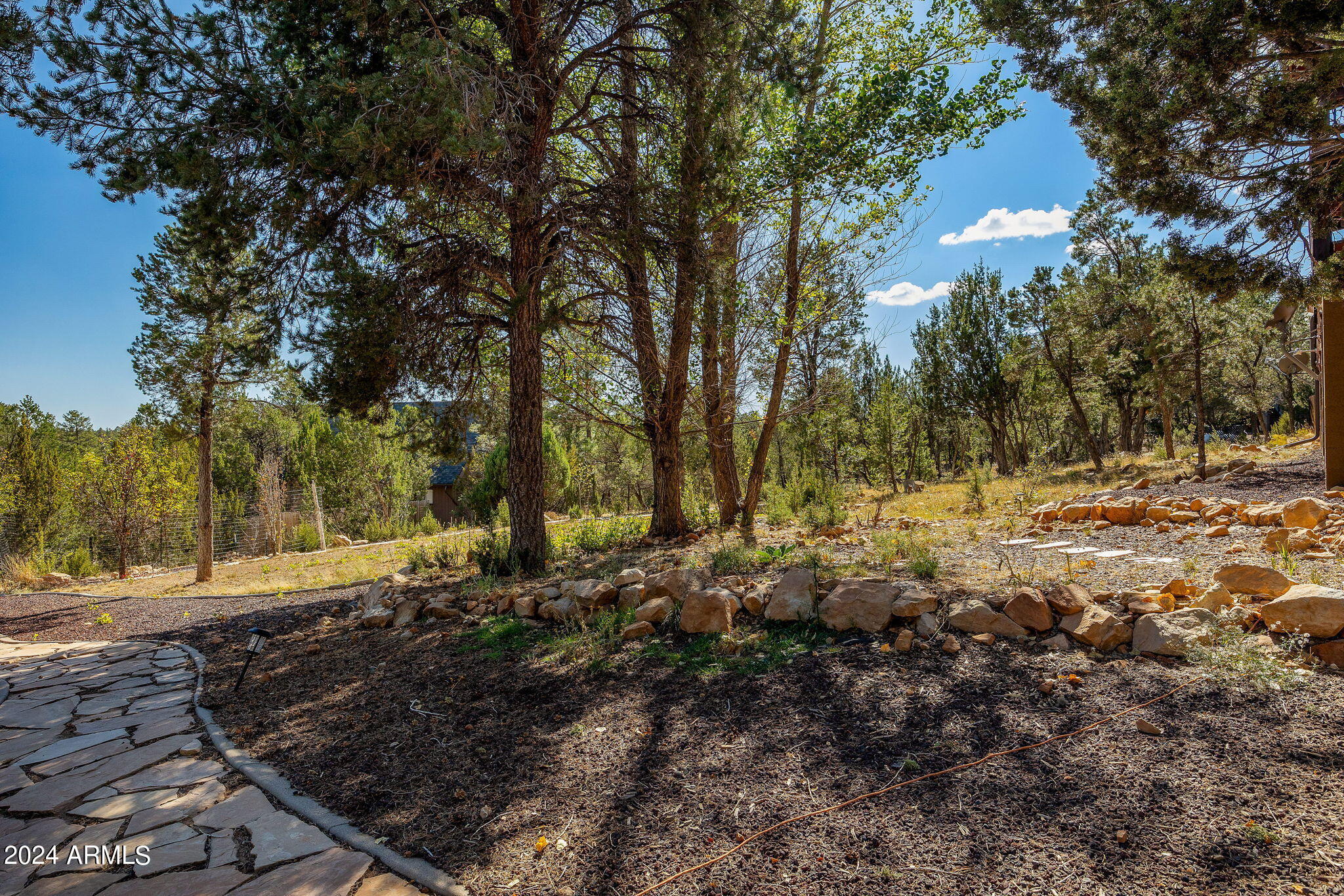 2946 Lodgepole Road Overgaard, AZ 85933 - Photo 4 of 84 2946LodgepoleRd-HeberOvergaard-AZ-5