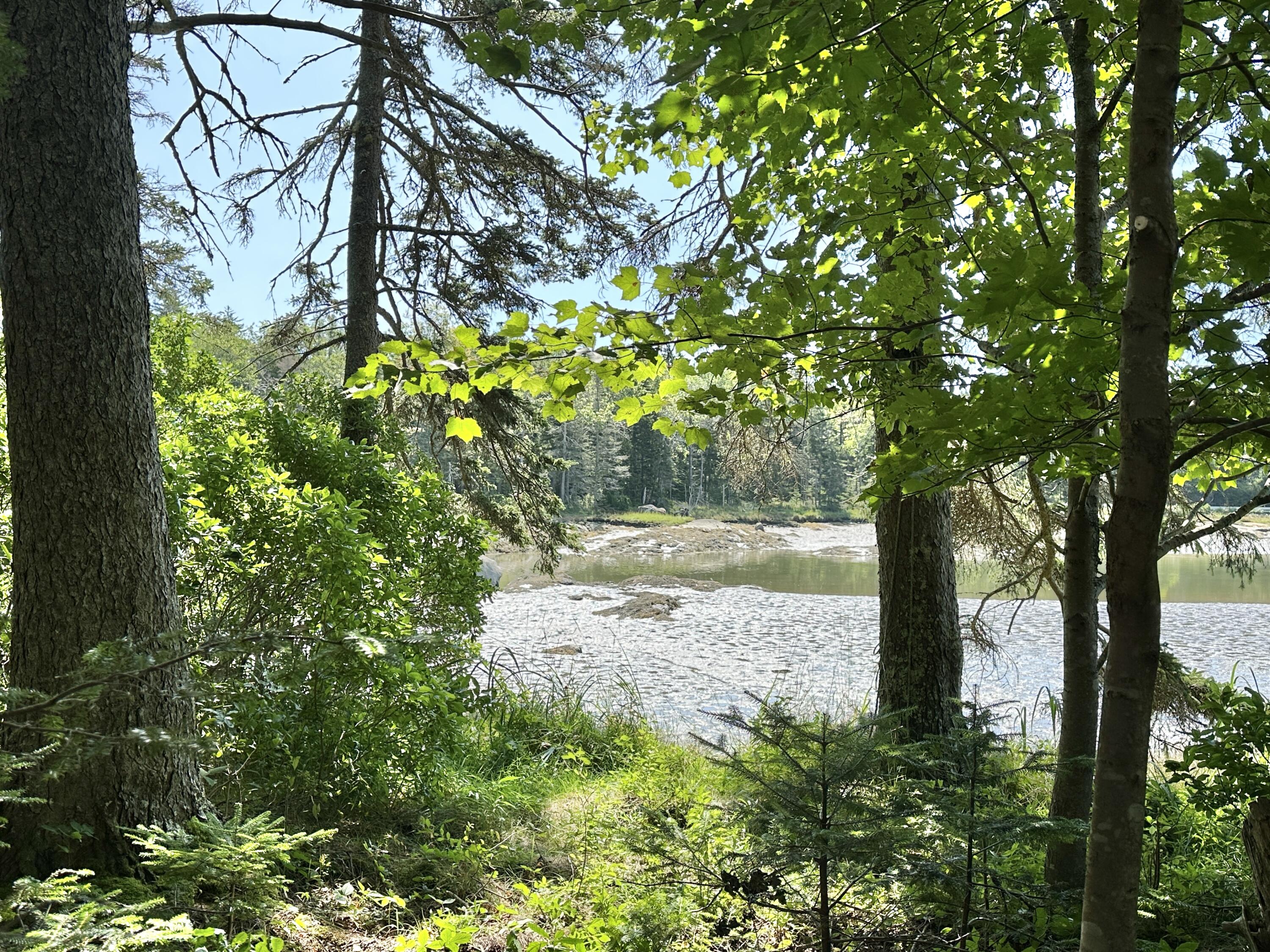 31 Fay Road Spruce Head, ME 04859 - Photo 63 of 77 Low Tide