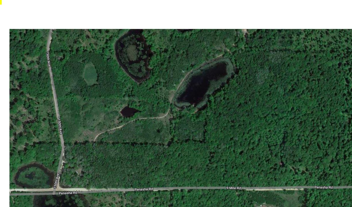 150 150th Avenue Reed City, MI 49677 - Photo 13 of 13 Aerial Cedar Twp