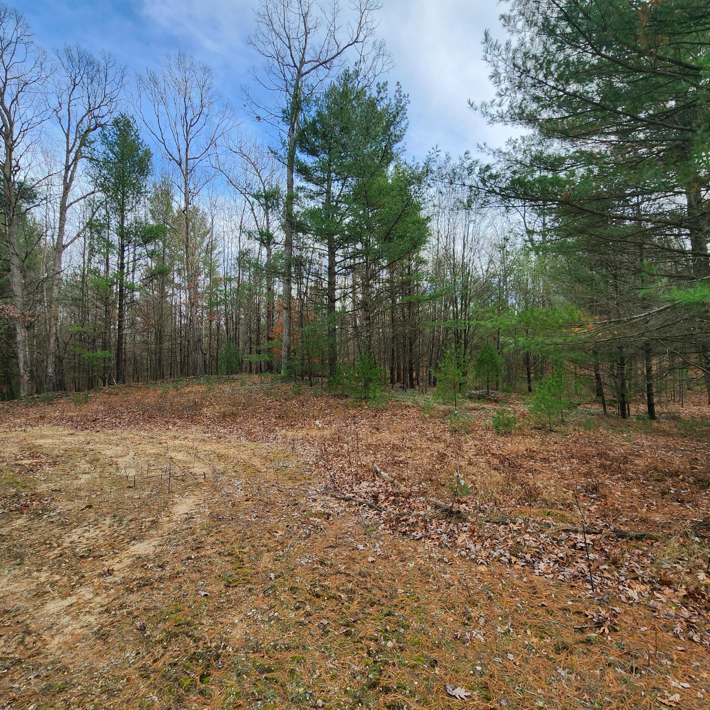 Lot #1 Wayne Road Pentwater, MI 49449 - Photo 2 of 5 Pentwater 3
