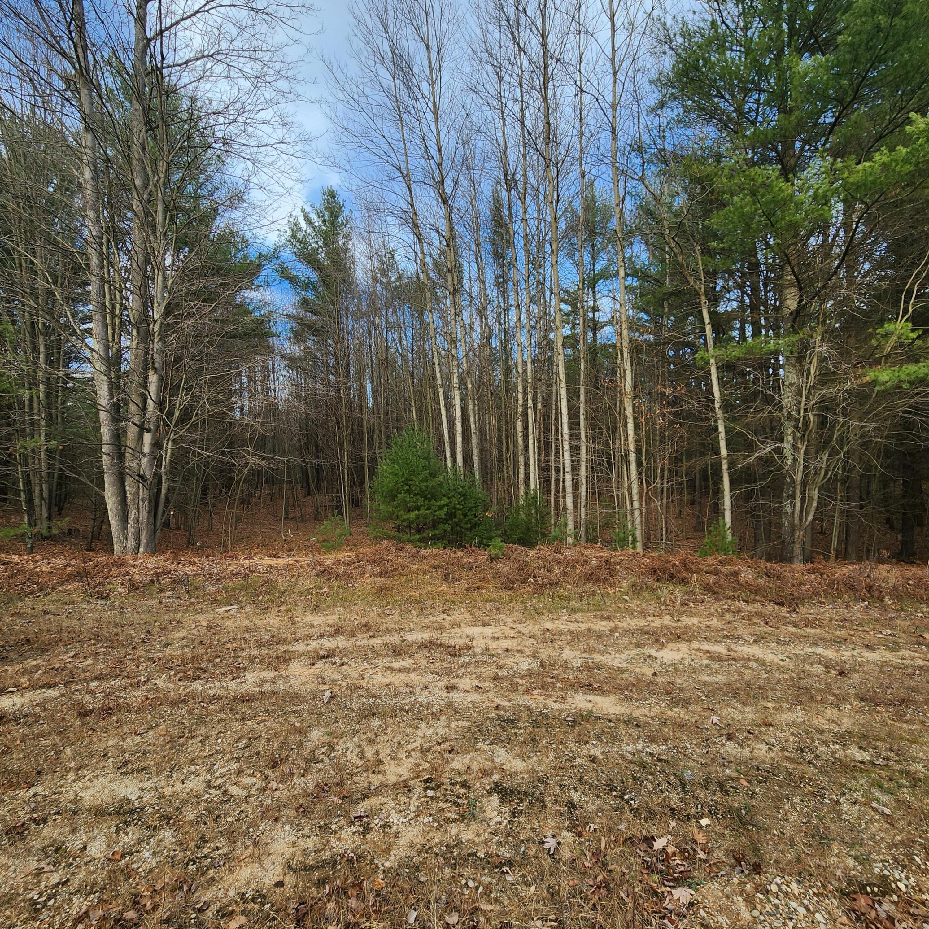 Lot #1 Wayne Road Pentwater, MI 49449 - Photo 4 of 5 Pentwater 6