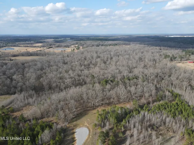 $539,900 | Stout Farm Drive, Canton, MS 39046