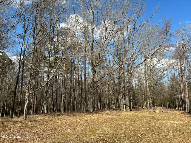 $539,900 | Stout Farm Drive, Canton, MS 39046