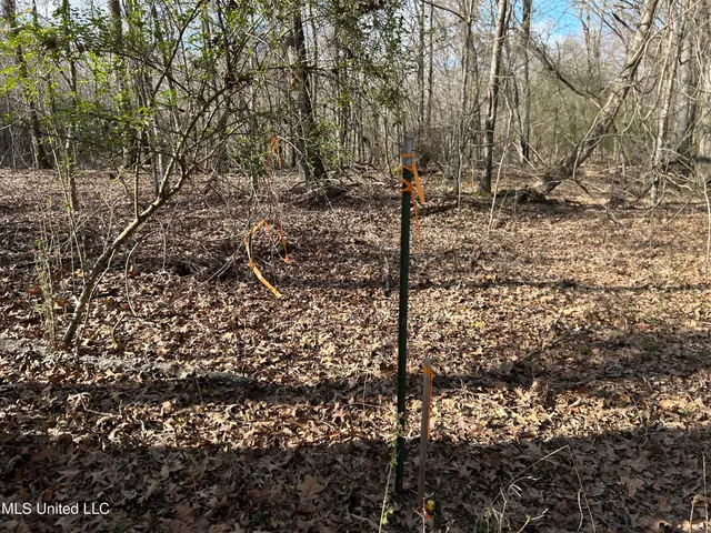 $539,900 | Stout Farm Drive, Canton, MS 39046