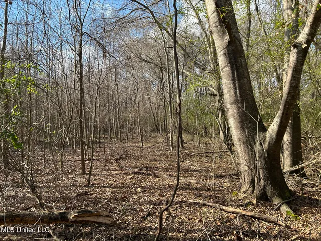 $539,900 | Stout Farm Drive, Canton, MS 39046