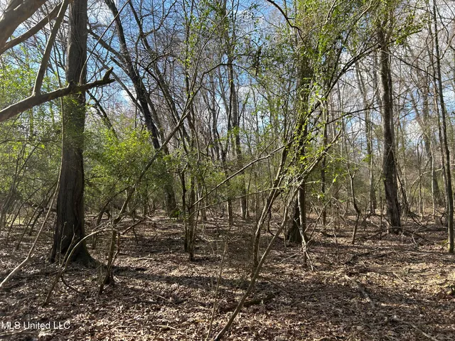 $539,900 | Stout Farm Drive, Canton, MS 39046