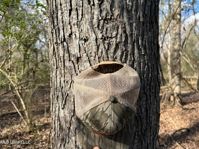 $539,900 | Stout Farm Drive, Canton, MS 39046