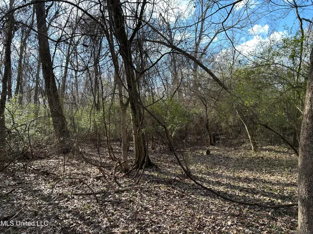 $539,900 | Stout Farm Drive, Canton, MS 39046