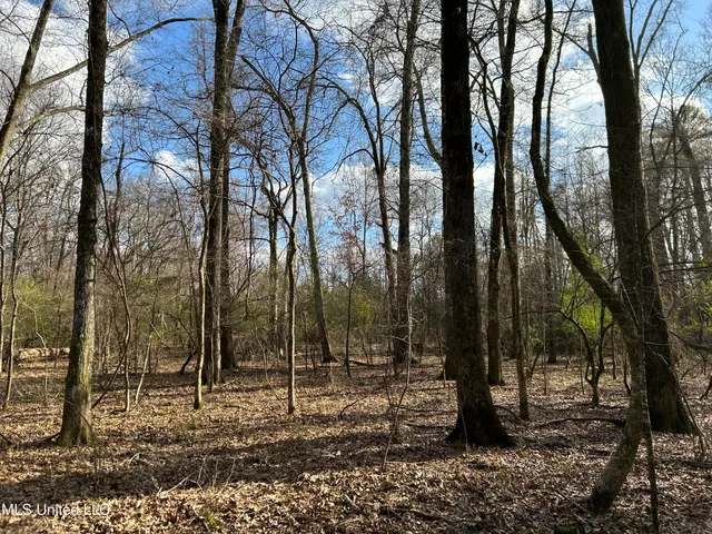 $539,900 | Stout Farm Drive, Canton, MS 39046